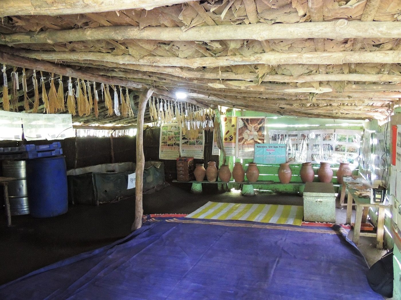Interior of a community seed store with labelled clay storage pots