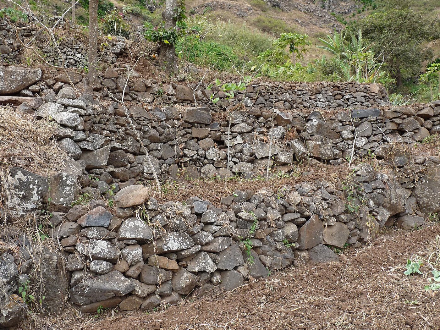 Dry-stone retaining walls holding cultivated terraces on a hillside
