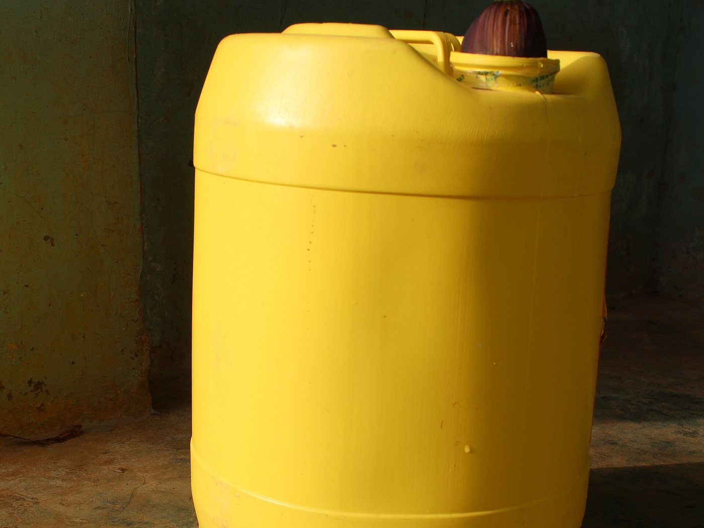 A lidded plastic drum used for household water storage, stoppered with a banana sprout