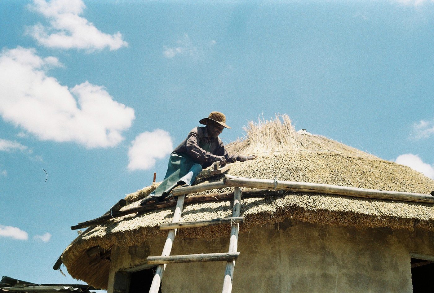 Thatchers repairing a grass roof, laying and dressing new courses over the battens