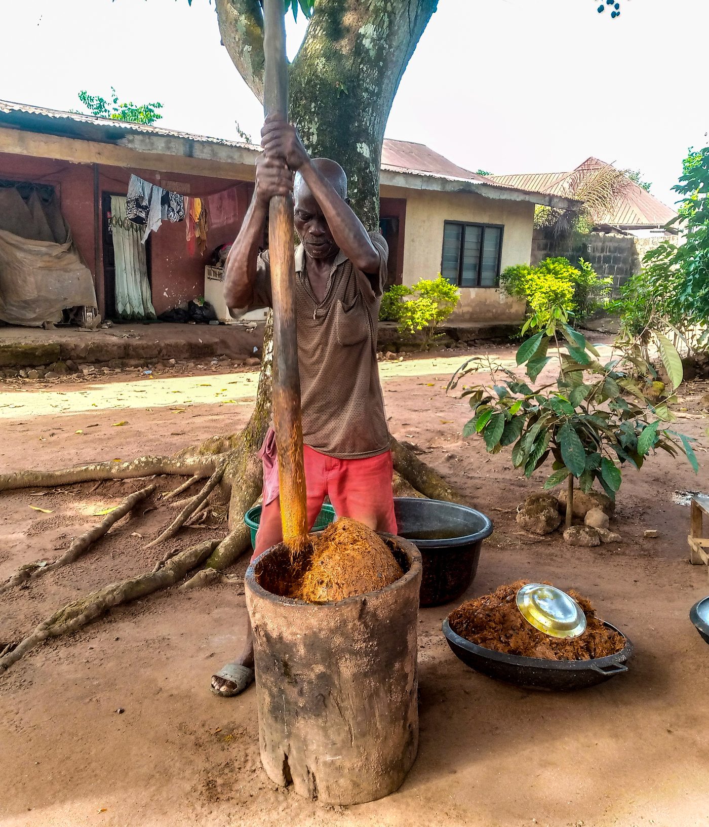 Local palm oil production, pressing digested palm fruit