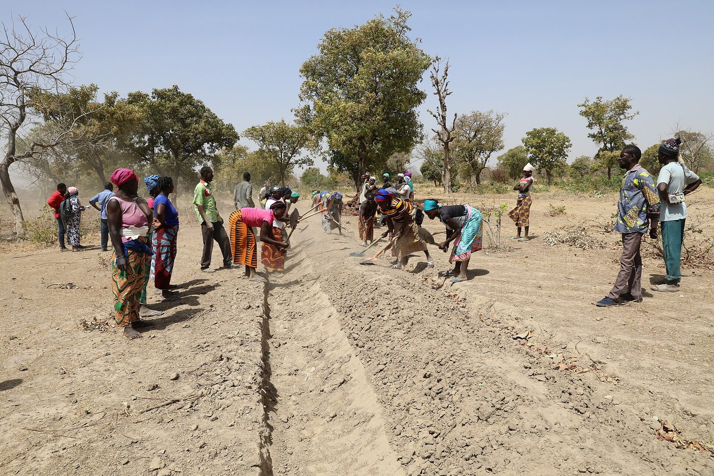 Women building earth and stone contour bunds across a field in Burkina Faso