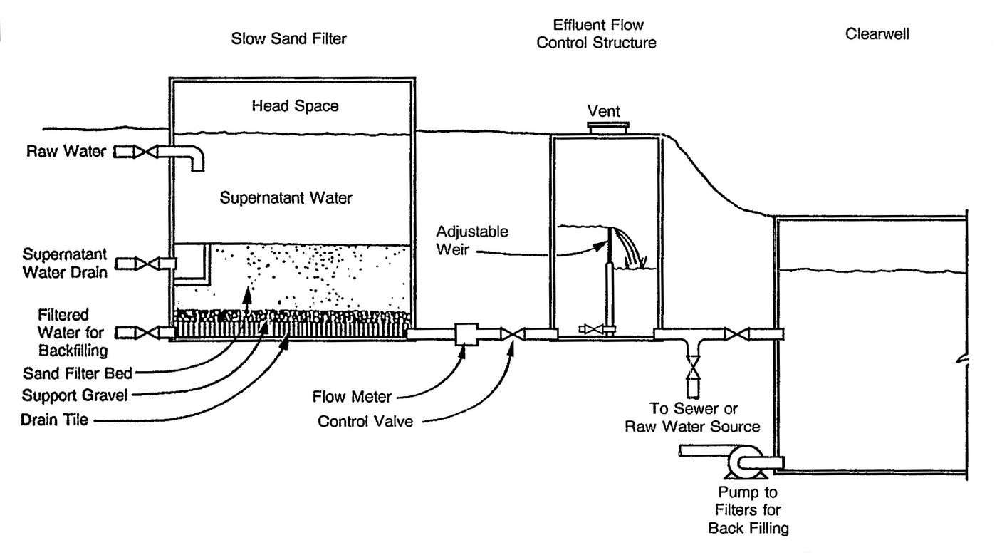 A slow sand filter bed with standing water above the graded sand surface