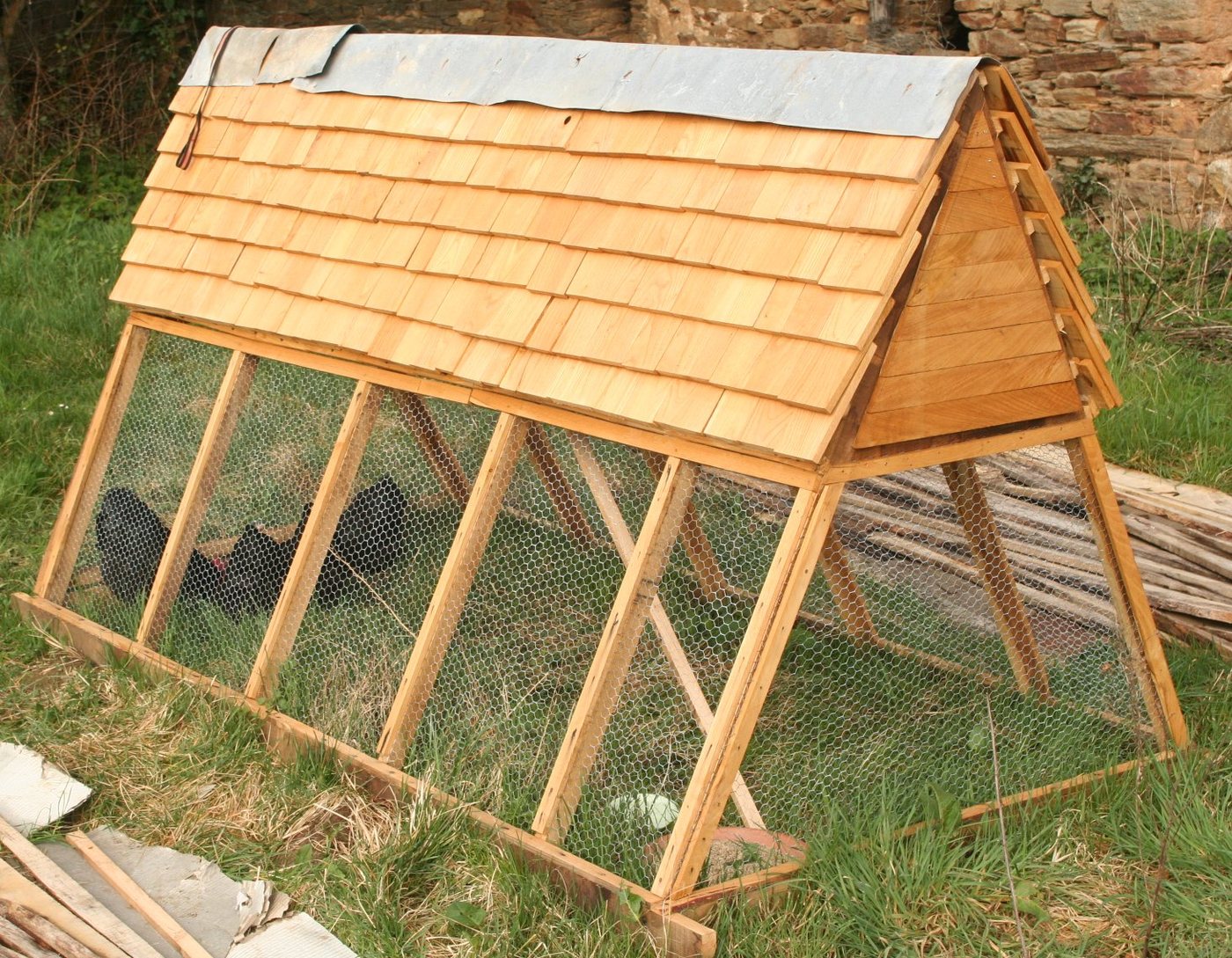 An A-frame movable chicken ark framed in timber and clad with wire mesh