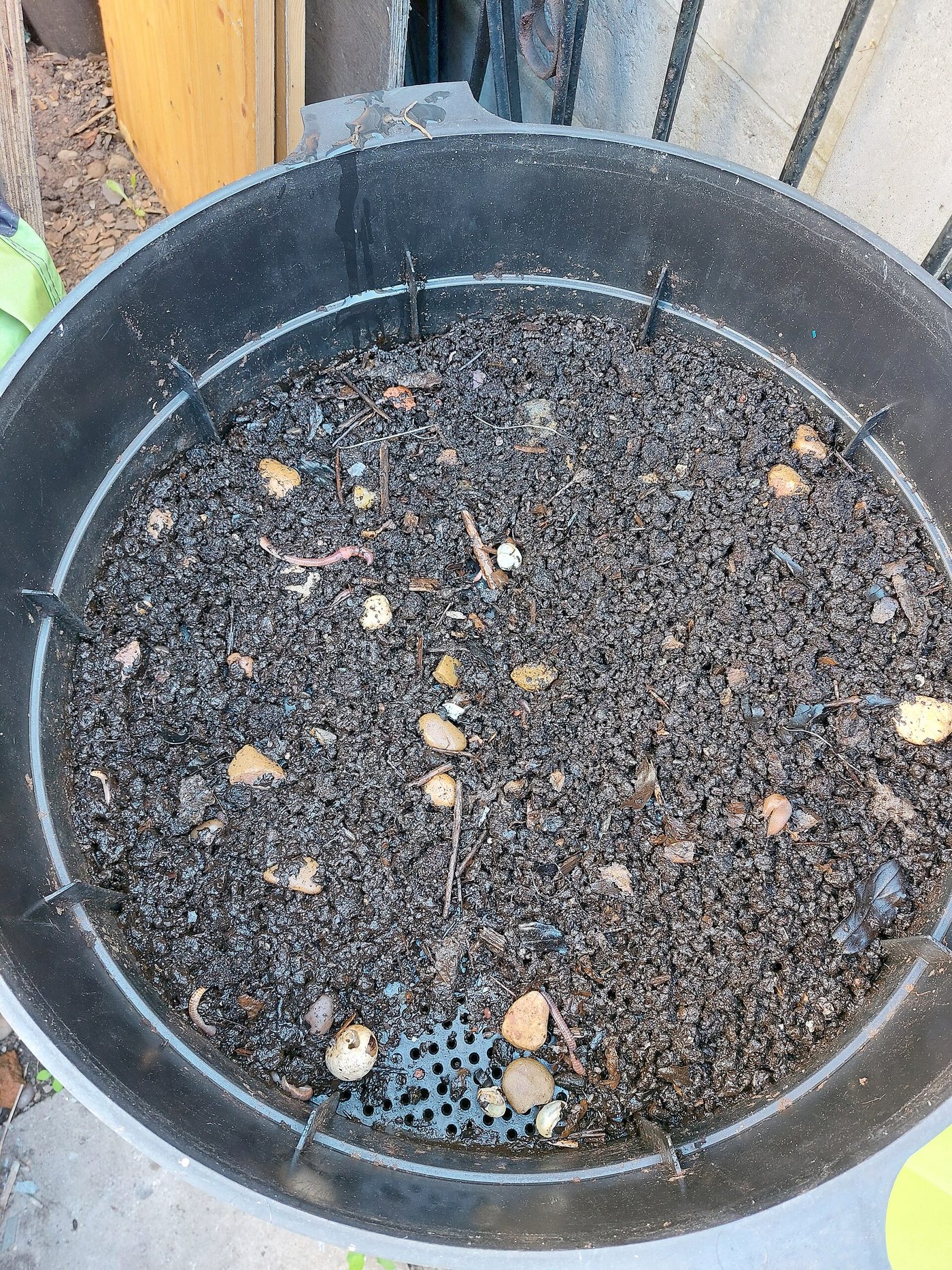 An open worm composting bin with bedding and kitchen scraps breaking down