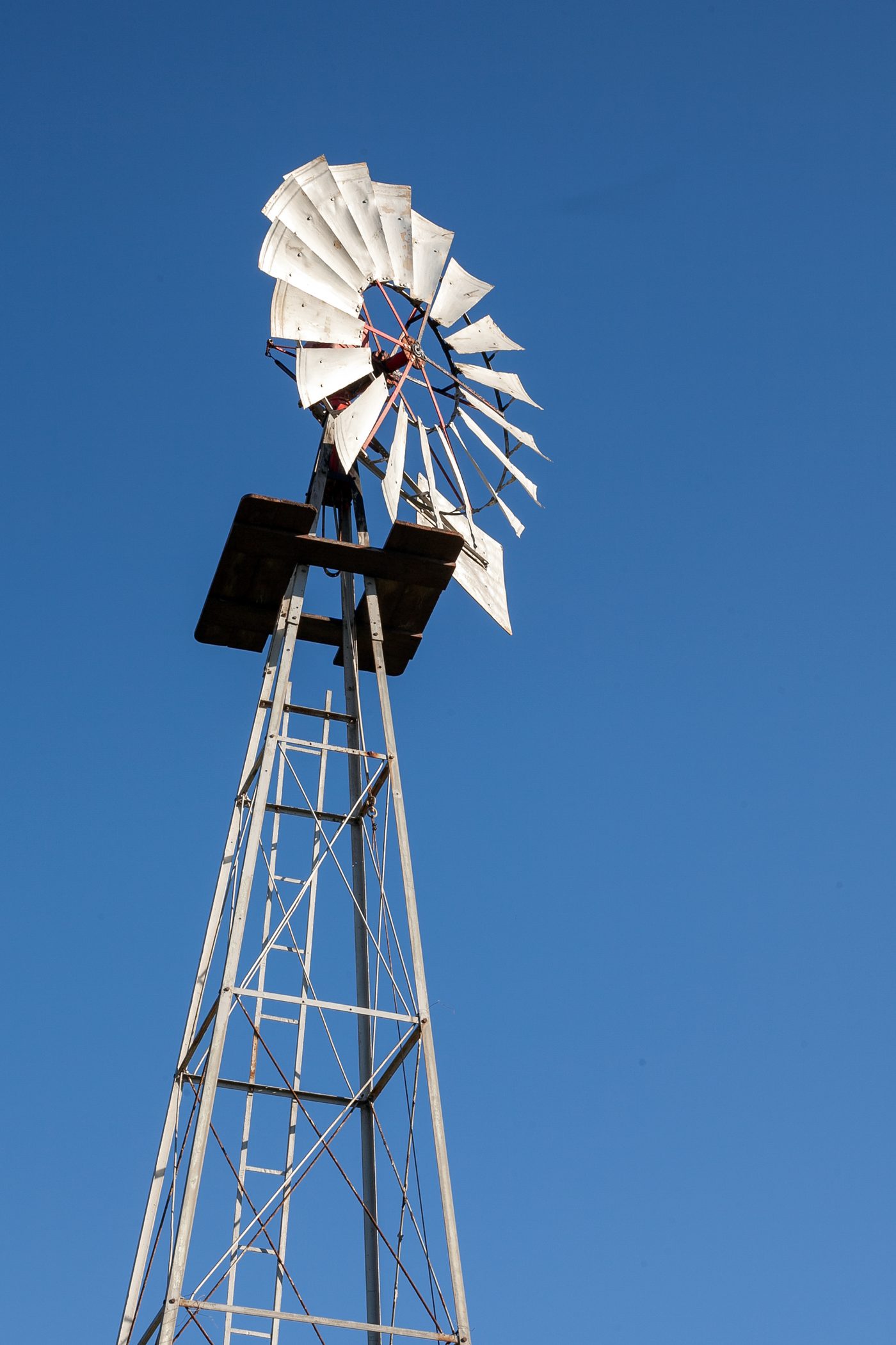 A multi-blade water-pumping windmill on a lattice tower with tail vane